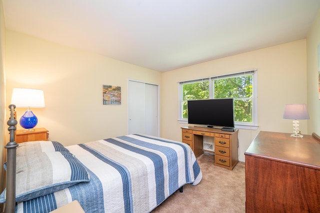 25 Ganung Dr, Ossining, NY 10562 - bedroom with light colored carpet and a closet