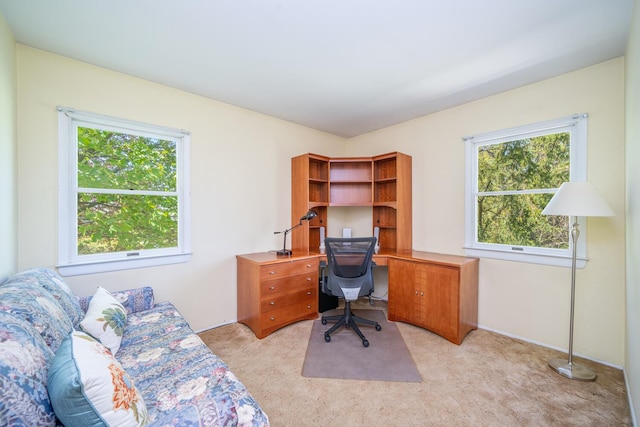 25 Ganung Dr, Ossining, NY 10562 - office area with light carpet and plenty of natural light
