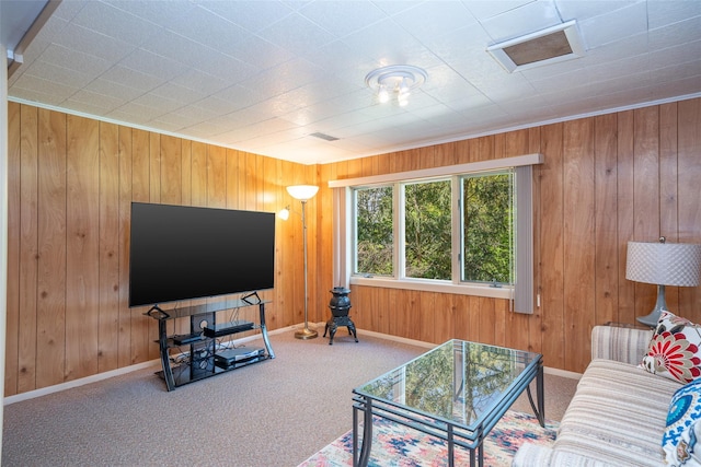 25 Ganung Dr, Ossining, NY 10562 - carpeted living room featuring baseboards and wooden walls