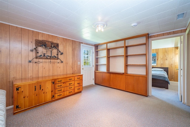 25 Ganung Dr, Ossining, NY 10562 - unfurnished bedroom with wooden walls and light colored carpet