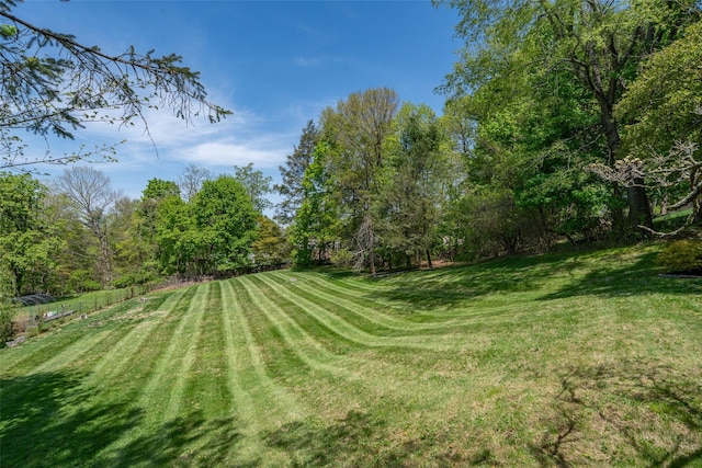 25 Ganung Dr, Ossining, NY 10562 - view of green lawn