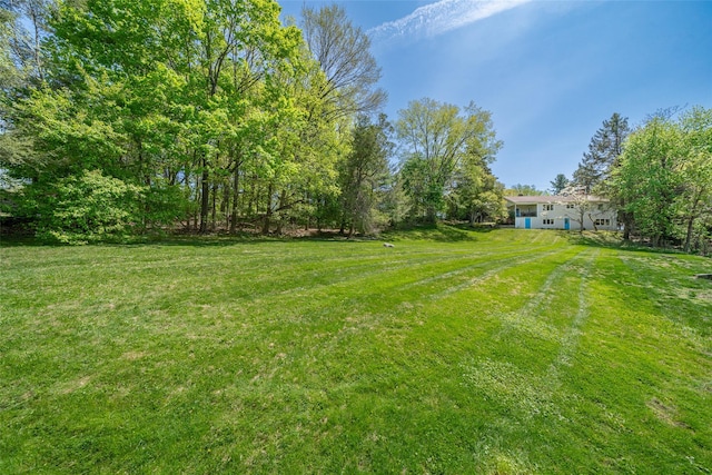25 Ganung Dr, Ossining, NY 10562 - view of green lawn
