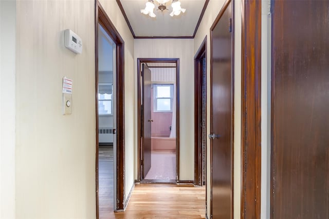 hall featuring radiator heating unit, ornamental molding, a chandelier, light wood-type flooring, and baseboards