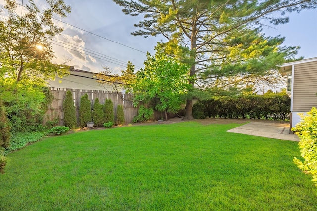 view of yard with a patio
