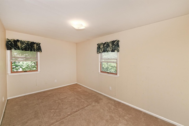 64 S Nassau St, Bethpage, NY 11714 - empty room featuring carpet and baseboards