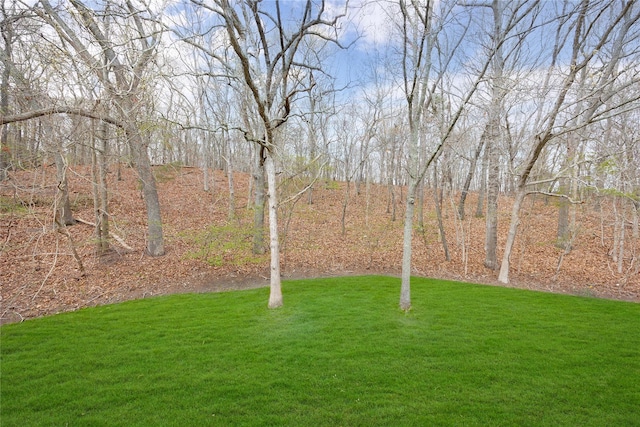 view of green lawn