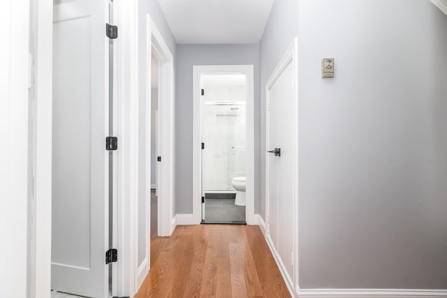 13 Curve Ln, Levittown, NY 11756 - hallway featuring light wood finished floors and baseboards