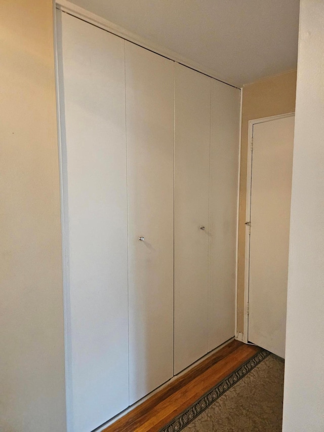view of closet