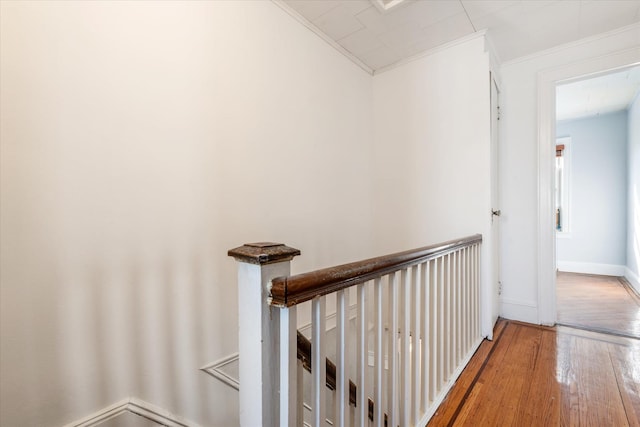 1862 Willoughby Ave, Ridgewood, NY 11385 - photo 15