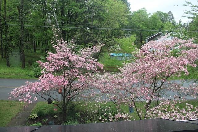 21 Overlook Rd, Poughkeepsie, NY 12603 - photo 28