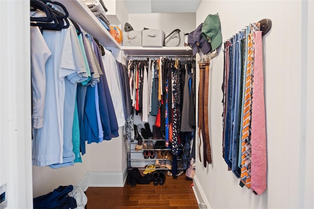 walk in closet featuring wood finished floors