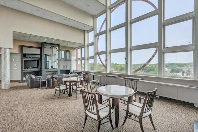 10 Stewart Pl Unit 4De, White Plains, NY 10603 - sunroom with carpet floors and a towering ceiling