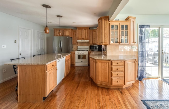 kitchen with appliances with stainless steel finishes, under cabinet range hood, a sink, light wood finished floors, and glass insert cabinets