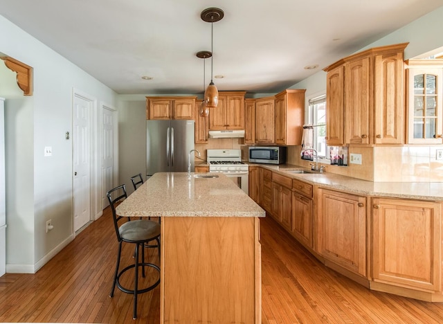kitchen featuring appliances with stainless steel finishes, under cabinet range hood, a sink, light wood finished floors, and tasteful backsplash