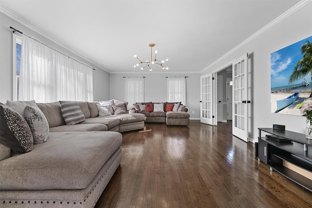 living area featuring a chandelier, plenty of natural light, ornamental molding, and dark wood-type flooring
