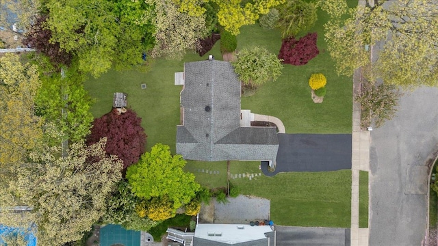 bird's eye view