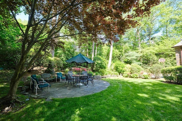 21 Hereford Rd, Great Neck, NY 11020 - view of green lawn featuring a patio area