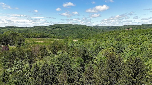 117 Buddenhagen Rd, Callicoon, NY 12723 - view of mountain backdrop with a forest