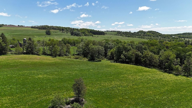 117 Buddenhagen Rd, Callicoon, NY 12723 - view of mountain background featuring rural landscape