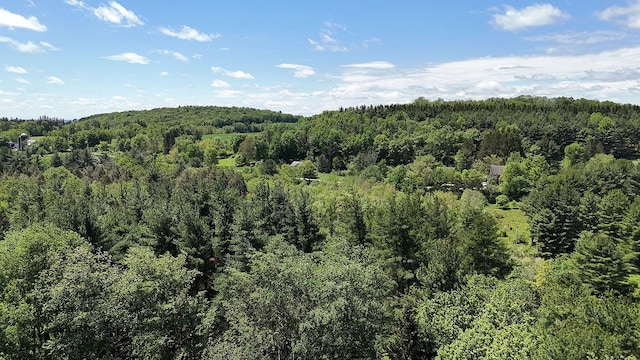 117 Buddenhagen Rd, Callicoon, NY 12723 - mountain view with a heavily wooded area