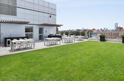 view of grassy yard with a patio area