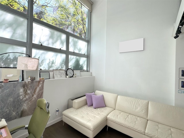 425 E 13th St Unit 1J, New York Manhattan, NY 10009 - living room with wood finished floors