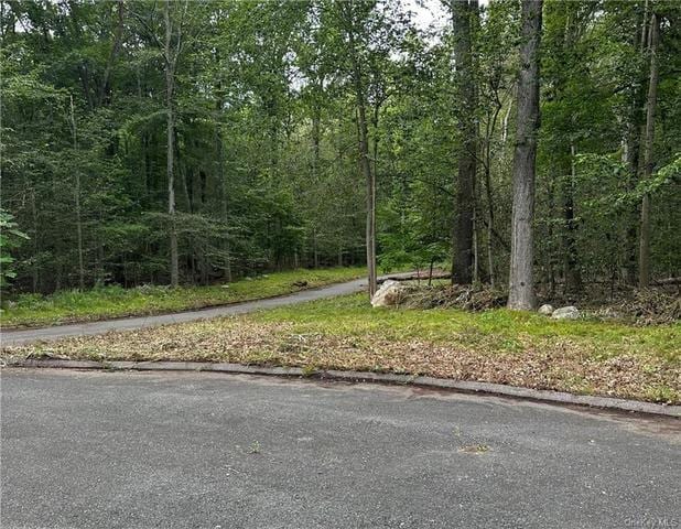 Florence Dr, Somers, NY 10541