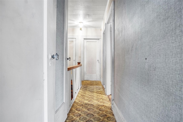 1804 New York Ave, Brooklyn, NY 11210 - corridor featuring tile patterned floors