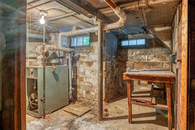 1804 New York Ave, Brooklyn, NY 11210 - below grade area featuring plenty of natural light