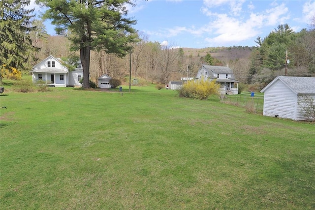 14 Hankins Rd, Hankins, NY 12741 - view of green lawn