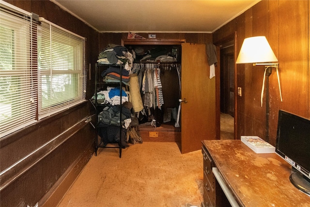 3042 Gomer St, Yorktown Heights, NY 10598 - spacious closet featuring carpet