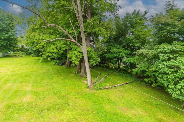 3042 Gomer St, Yorktown Heights, NY 10598 - view of green lawn