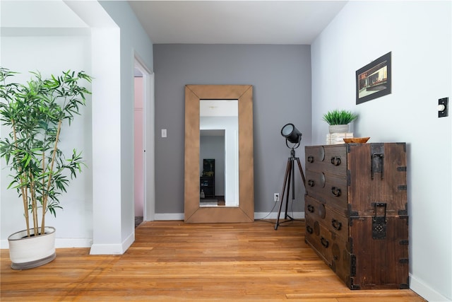 1 Salisbury Pt Unit 6C, Nyack, NY 10960 - corridor with light wood-style flooring and baseboards