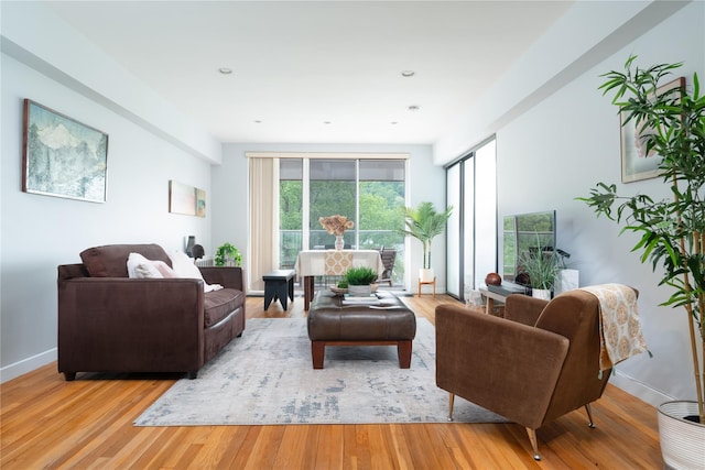 1 Salisbury Pt Unit 6C, Nyack, NY 10960 - living room featuring wood finished floors and baseboards