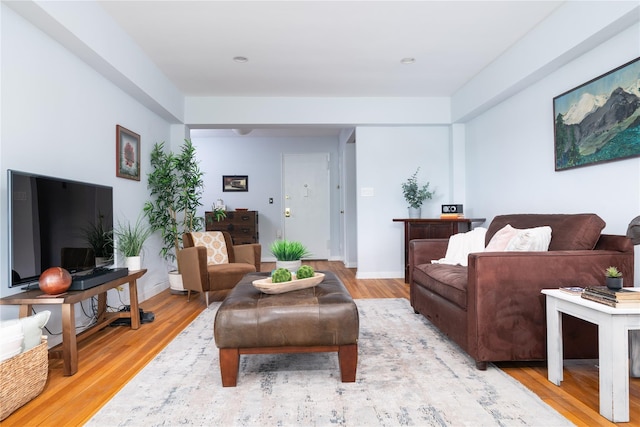 1 Salisbury Pt Unit 6C, Nyack, NY 10960 - living room featuring light wood finished floors and baseboards