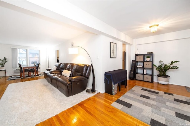 living area featuring light wood finished floors