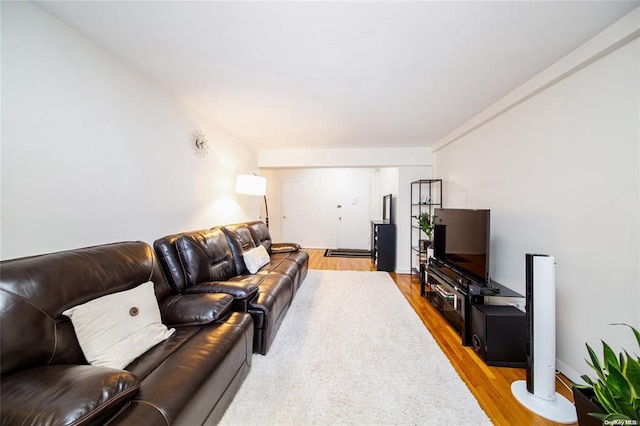 living room with wood finished floors