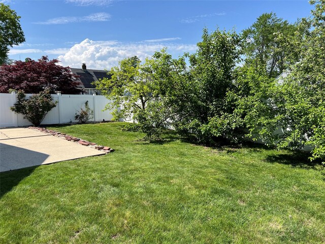 view of yard featuring a patio area