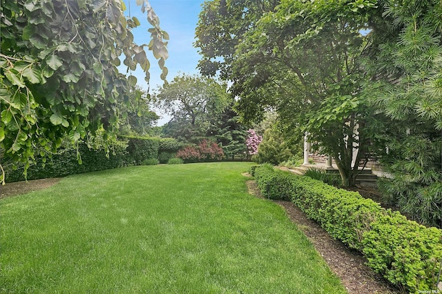 394 Mill Rd, Westhampton, NY 11977 - view of green lawn