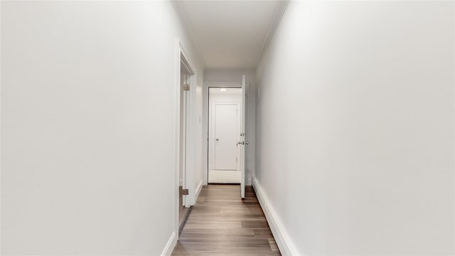 corridor featuring crown molding, wood finished floors, baseboards, and a baseboard radiator