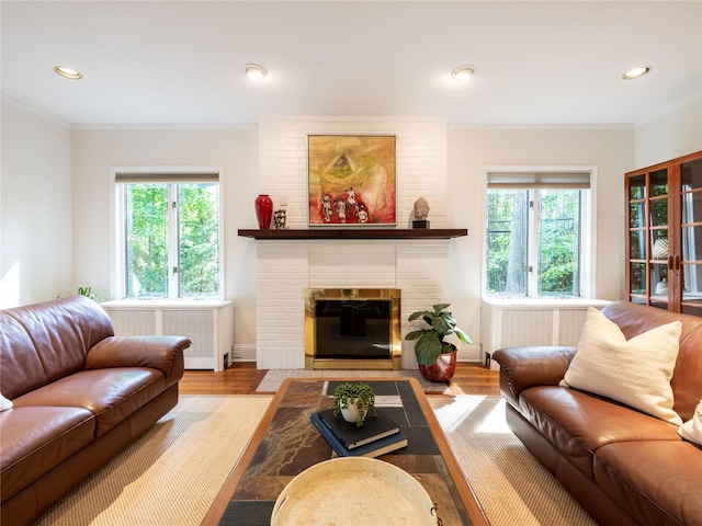 37 Longview Rd, Port Washington, NY 11050 - living room with radiator heating unit, wood finished floors, plenty of natural light, crown molding, and recessed lighting