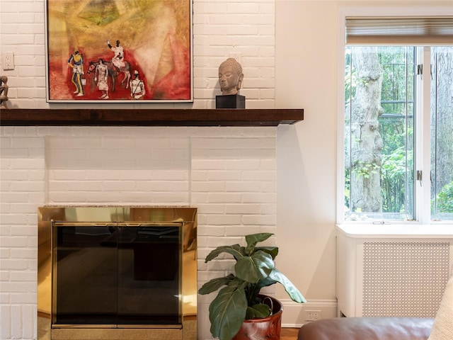 37 Longview Rd, Port Washington, NY 11050 - detailed view of a fireplace and radiator heating unit