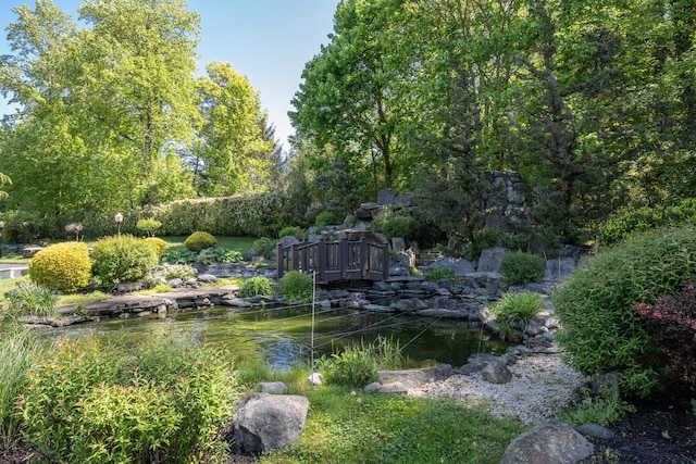 view of property's community featuring a garden pond