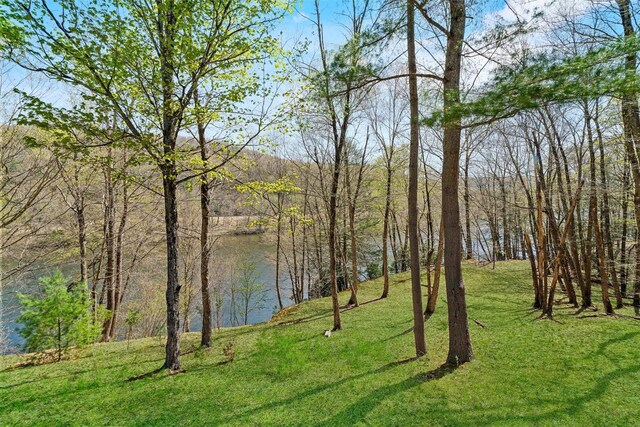 216 Cortese Rd, Call Listing Agent, PA 18405 - water view