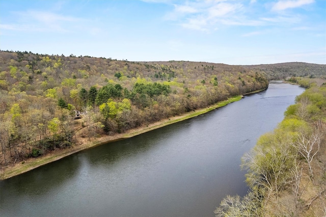 216 Cortese Rd, Call Listing Agent, PA 18405 - aerial view of a forest and a nearby body of water