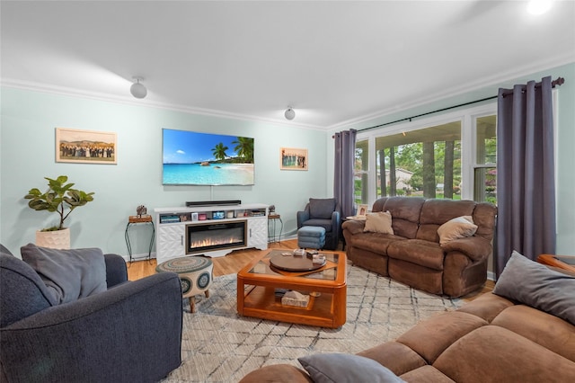 living room featuring ornamental molding, light wood-style flooring, baseboards, and a glass covered fireplace