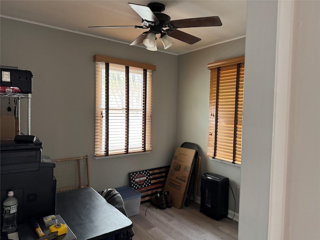 53 Bayview Ave, East Islip, NY 11730 - office area featuring wood finished floors, a ceiling fan, and crown molding