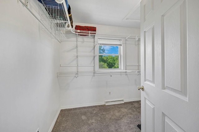 walk in closet with carpet flooring