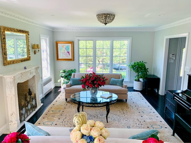 8 Hazel Rd, Port Washington, NY 11050 - living room featuring radiator heating unit, plenty of natural light, wood finished floors, a premium fireplace, and ornamental molding