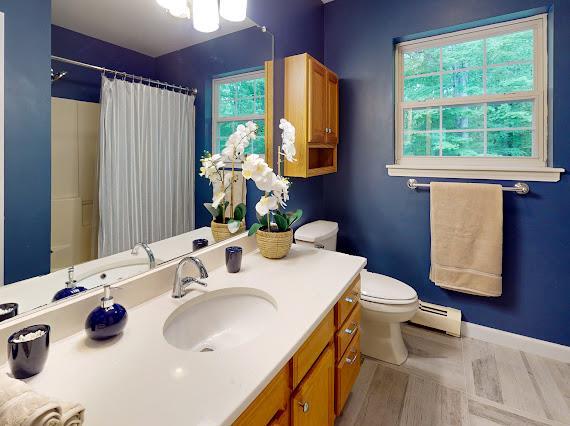293 S Centerville Rd, Middletown, NY 10940 - bathroom with a baseboard heating unit, vanity, toilet, a shower with curtain, and baseboards